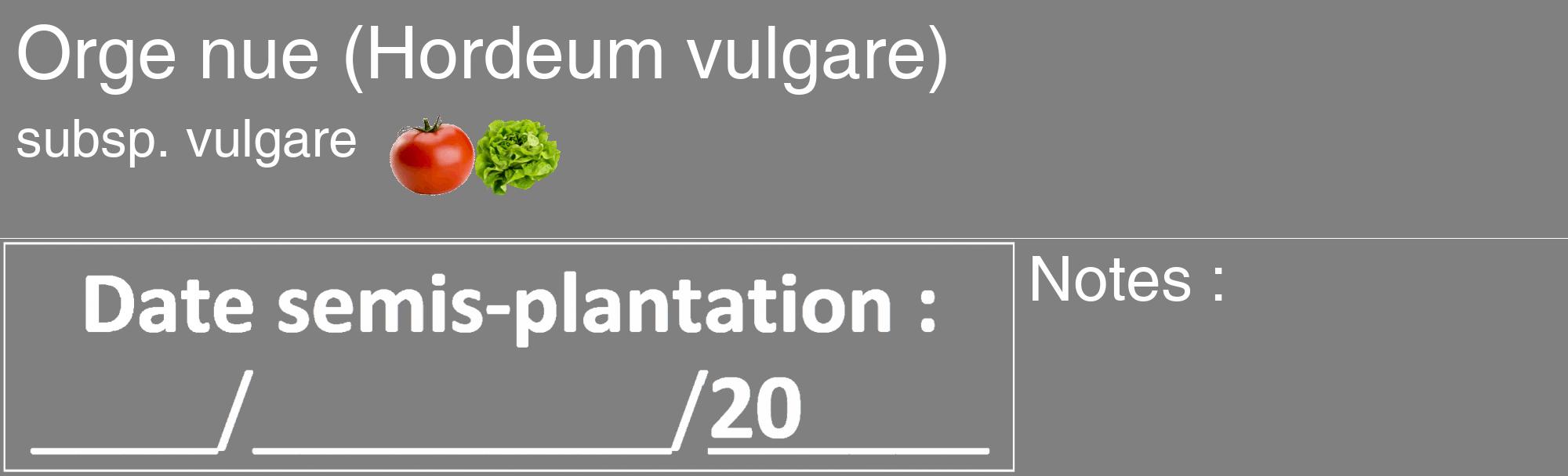 Étiquette de : Hordeum vulgare subsp. vulgare - format c - style blanche57_basique_basiquehel avec comestibilité simplifiée