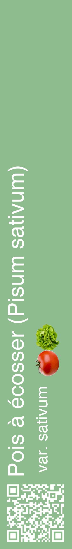 Étiquette de : Pisum sativum var. sativum - format c - style blanche13_basiquehel avec qrcode et comestibilité simplifiée