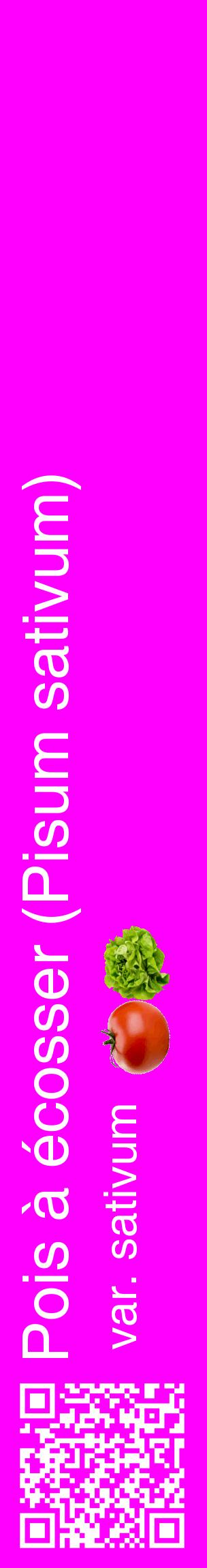 Étiquette de : Pisum sativum var. sativum - format c - style blanche51_basiquehel avec qrcode et comestibilité simplifiée