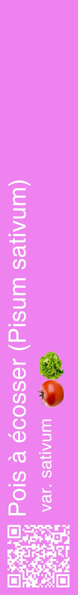 Étiquette de : Pisum sativum var. sativum - format c - style blanche53_basiquehel avec qrcode et comestibilité simplifiée