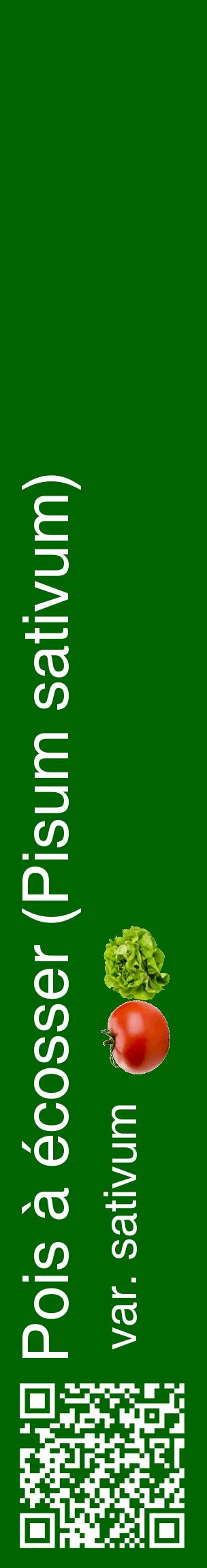Étiquette de : Pisum sativum var. sativum - format c - style blanche8_basiquehel avec qrcode et comestibilité simplifiée