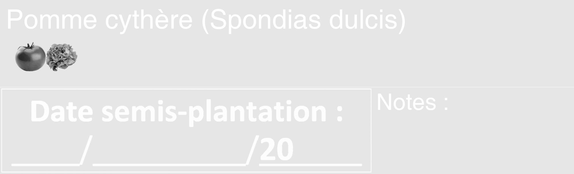 Étiquette de : Spondias dulcis - format c - style blanche18_basique_basiquehel avec comestibilité simplifiée