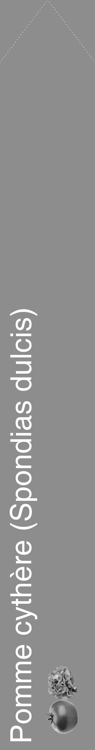 Étiquette de : Spondias dulcis - format c - style blanche2_simple_simplehel avec comestibilité simplifiée - position verticale