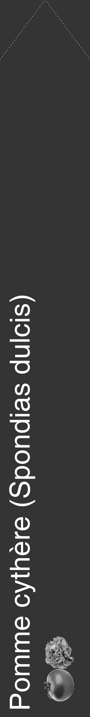Étiquette de : Spondias dulcis - format c - style blanche46_simple_simplehel avec comestibilité simplifiée - position verticale