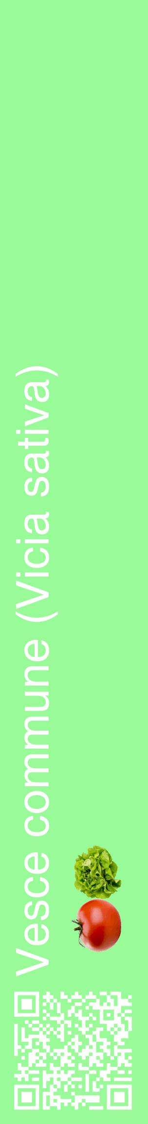 Étiquette de : Vicia sativa - format c - style blanche14_basiquehel avec qrcode et comestibilité simplifiée