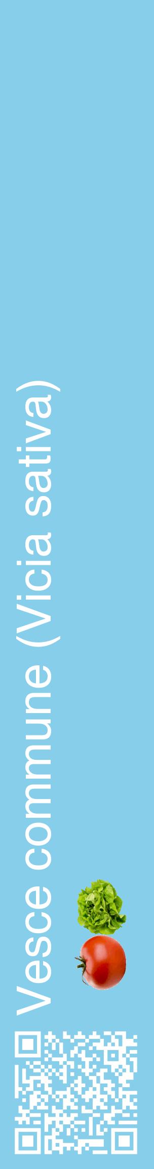 Étiquette de : Vicia sativa - format c - style blanche1_basiquehel avec qrcode et comestibilité simplifiée