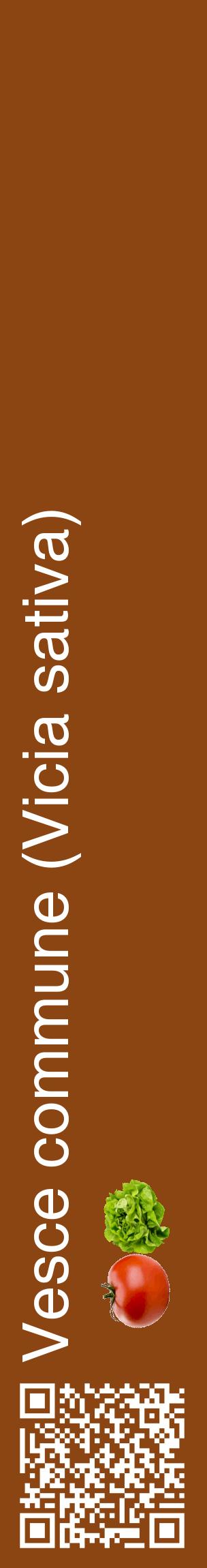 Étiquette de : Vicia sativa - format c - style blanche30_basiquehel avec qrcode et comestibilité simplifiée