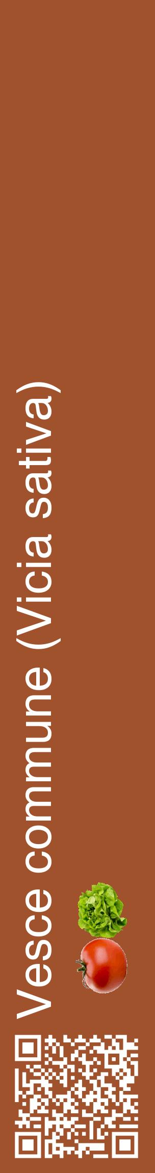 Étiquette de : Vicia sativa - format c - style blanche32_basiquehel avec qrcode et comestibilité simplifiée