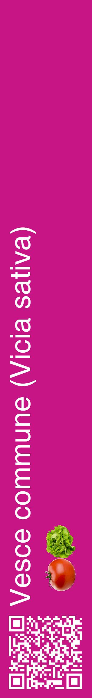 Étiquette de : Vicia sativa - format c - style blanche45_basiquehel avec qrcode et comestibilité simplifiée