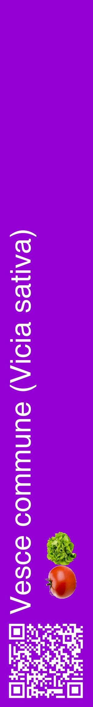 Étiquette de : Vicia sativa - format c - style blanche48_basiquehel avec qrcode et comestibilité simplifiée