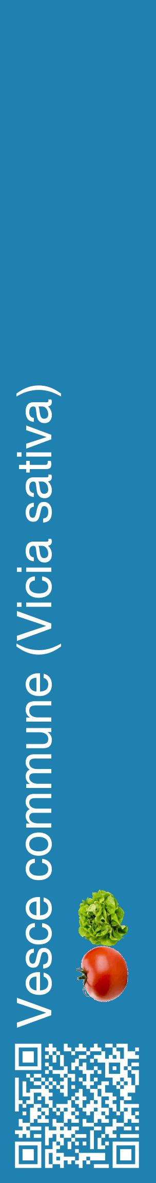 Étiquette de : Vicia sativa - format c - style blanche6_basiquehel avec qrcode et comestibilité simplifiée