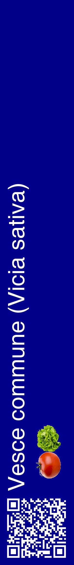 Étiquette de : Vicia sativa - format c - style blanche7_basiquehel avec qrcode et comestibilité simplifiée