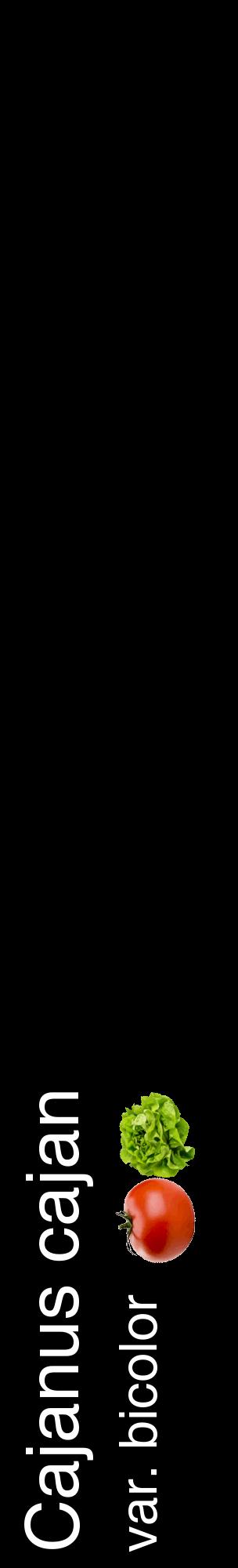 Étiquette de : Cajanus cajan var. bicolor - format c - style blanche59_basiquehel avec comestibilité simplifiée