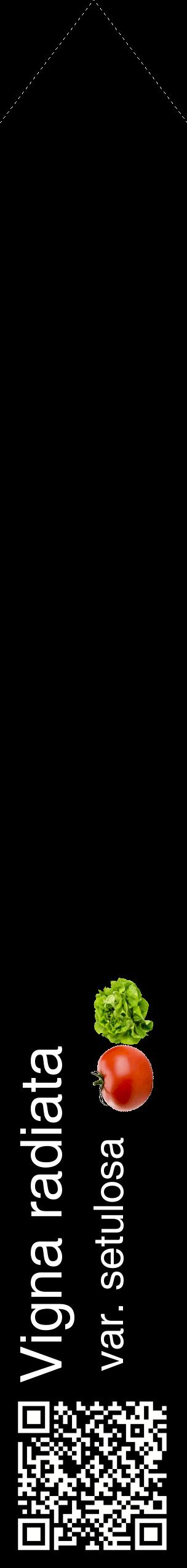 Étiquette de : Vigna radiata var. setulosa - format c - style blanche59_simplehel avec qrcode et comestibilité simplifiée