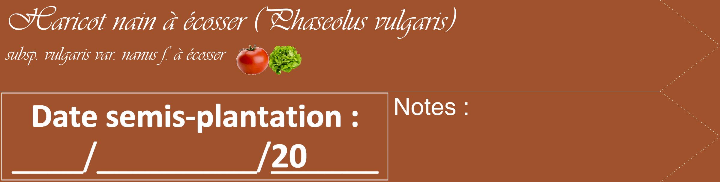 Étiquette de : Phaseolus vulgaris subsp. vulgaris var. nanus f. à écosser - format c - style blanche32simple_simple_simpleviv avec comestibilité simplifiée