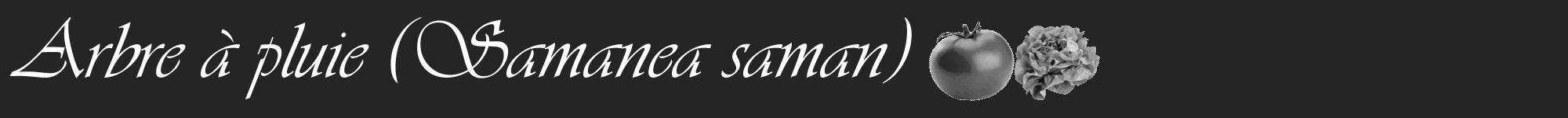 Étiquette de : Samanea saman - format a - style blanche47basiqueviv avec comestibilité simplifiée