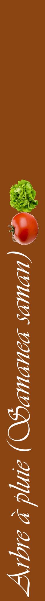 Étiquette de : Samanea saman - format a - style blanche30viv avec comestibilité simplifiée