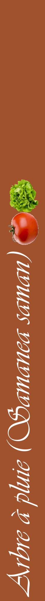 Étiquette de : Samanea saman - format a - style blanche32viv avec comestibilité simplifiée