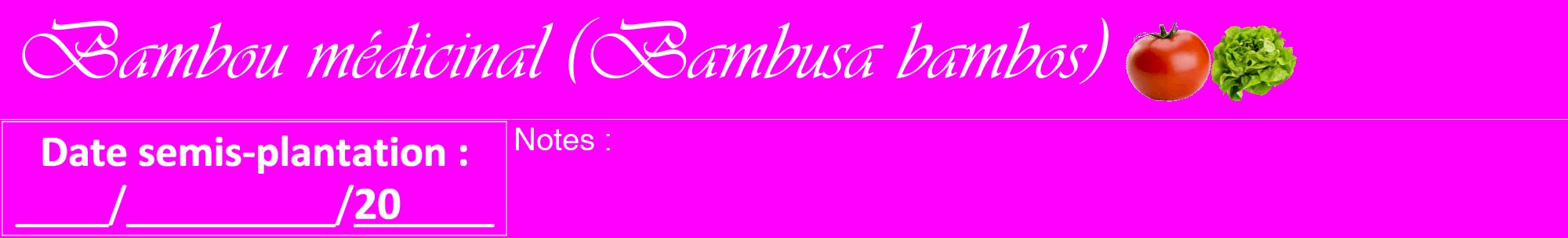 Étiquette de : Bambusa bambos - format a - style blanche51viv avec comestibilité simplifiée