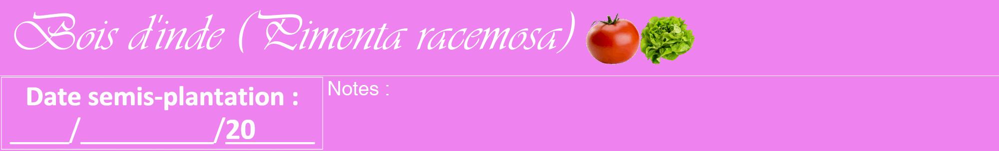 Étiquette de : Pimenta racemosa - format a - style blanche53basiqueviv avec comestibilité simplifiée