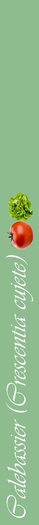 Étiquette de : Crescentia cujete - format a - style blanche13viv avec comestibilité simplifiée
