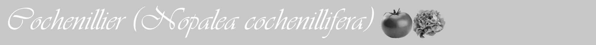 Étiquette de : Nopalea cochenillifera - format a - style blanche15viv avec comestibilité simplifiée