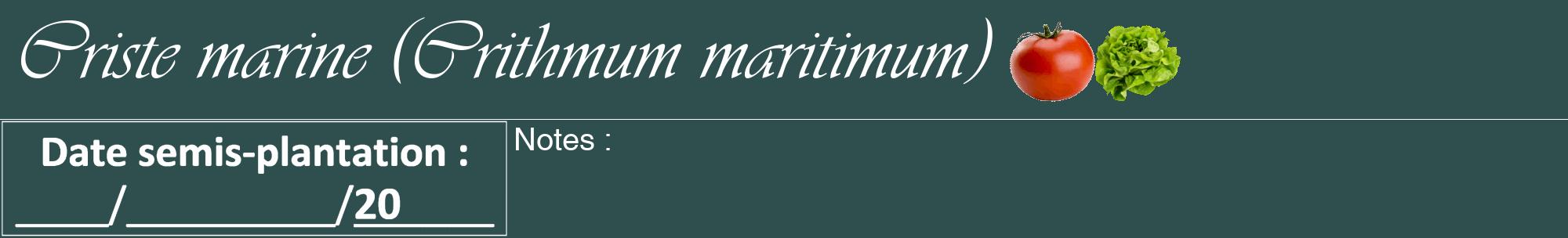 Étiquette de : Crithmum maritimum - format a - style blanche58viv avec comestibilité simplifiée
