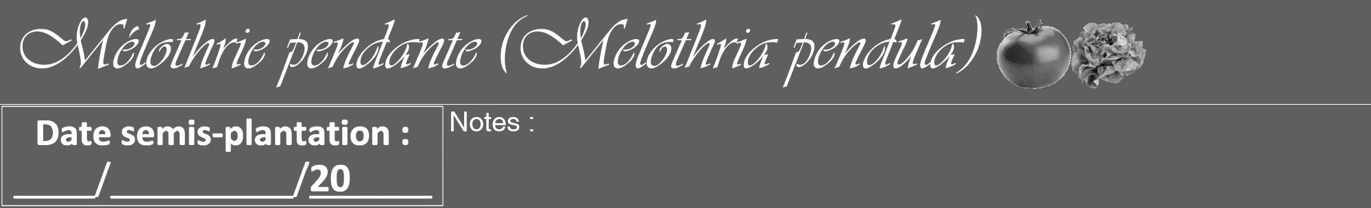 Étiquette de : Melothria pendula - format a - style blanche10viv avec comestibilité simplifiée