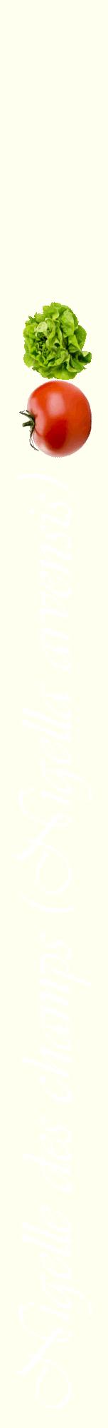 Étiquette de : Nigella arvensis - format a - style blanche19viv avec comestibilité simplifiée