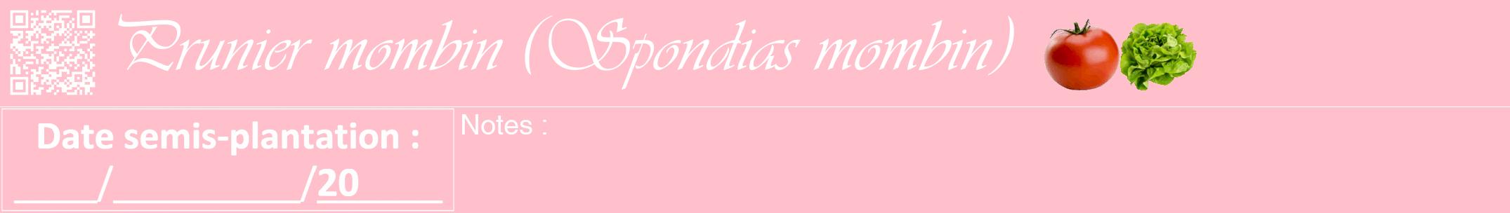 Étiquette de : Spondias mombin - format a - style blanche40viv avec qrcode et comestibilité simplifiée