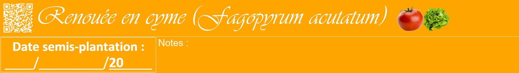 Étiquette de : Fagopyrum acutatum - format a - style blanche22viv avec qrcode et comestibilité simplifiée