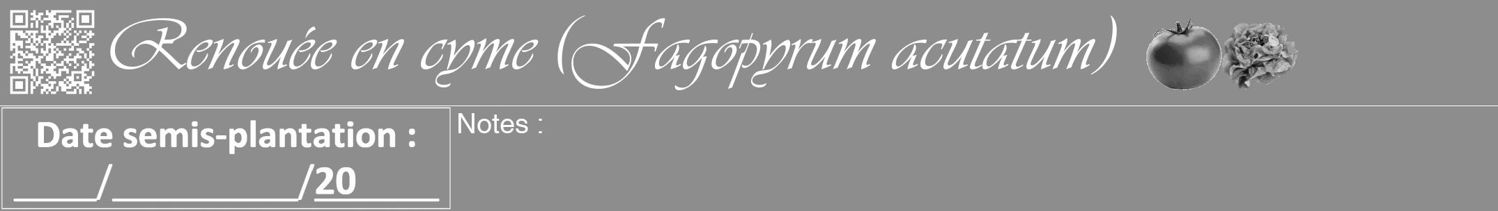 Étiquette de : Fagopyrum acutatum - format a - style blanche2viv avec qrcode et comestibilité simplifiée