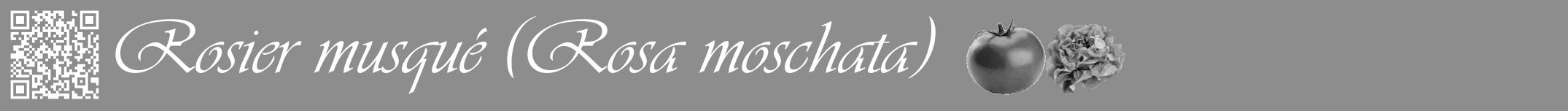 Étiquette de : Rosa moschata - format a - style blanche2viv avec qrcode et comestibilité simplifiée