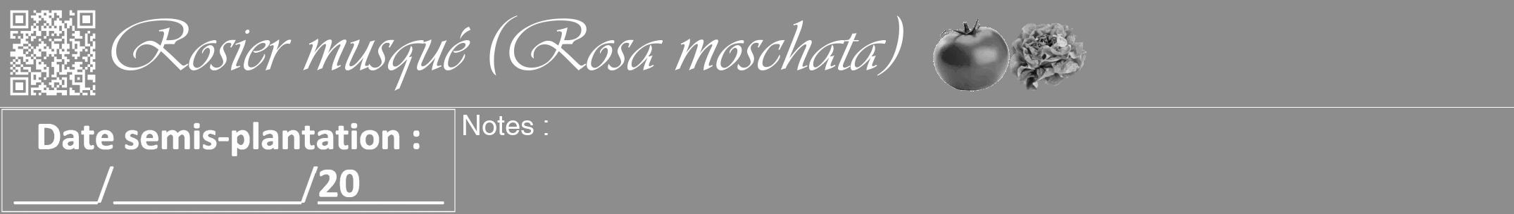 Étiquette de : Rosa moschata - format a - style blanche2viv avec qrcode et comestibilité simplifiée