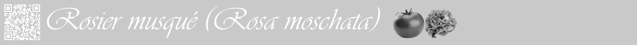 Étiquette de : Rosa moschata - format a - style blanche54viv avec qrcode et comestibilité simplifiée