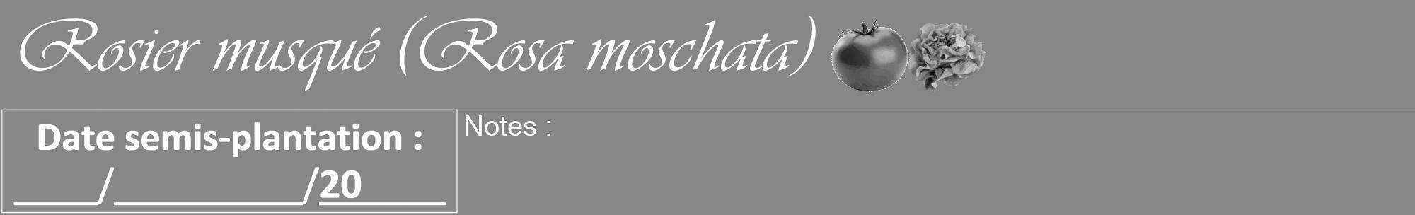 Étiquette de : Rosa moschata - format a - style blanche12viv avec comestibilité simplifiée