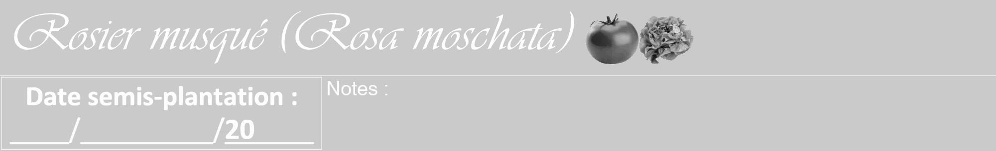 Étiquette de : Rosa moschata - format a - style blanche21viv avec comestibilité simplifiée
