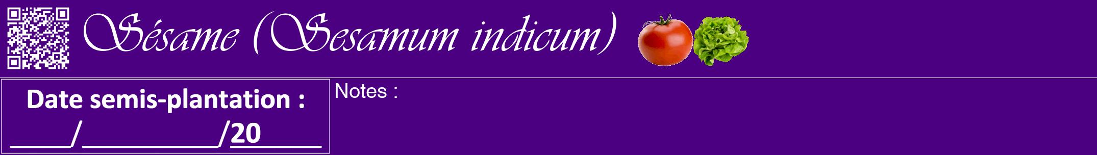 Étiquette de : Sesamum indicum - format a - style blanche47viv avec qrcode et comestibilité simplifiée