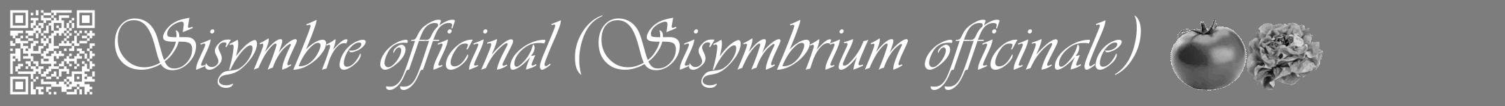 Étiquette de : Sisymbrium officinale - format a - style blanche35viv avec qrcode et comestibilité simplifiée