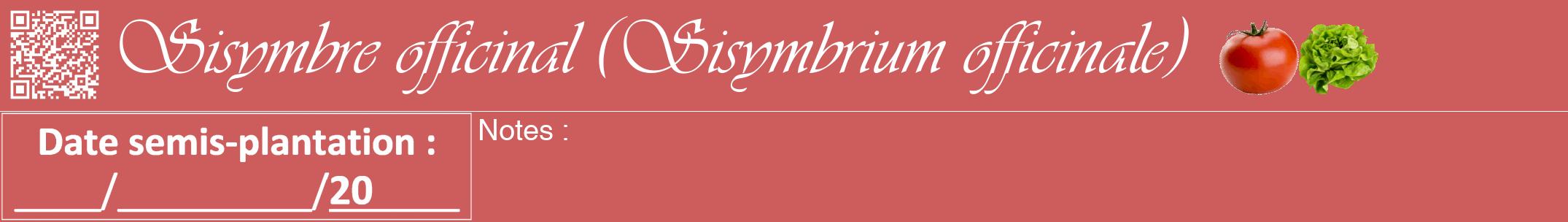 Étiquette de : Sisymbrium officinale - format a - style blanche35viv avec qrcode et comestibilité simplifiée
