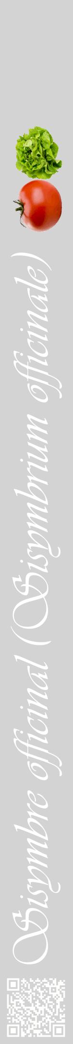 Étiquette de : Sisymbrium officinale - format a - style blanche56viv avec qrcode et comestibilité simplifiée