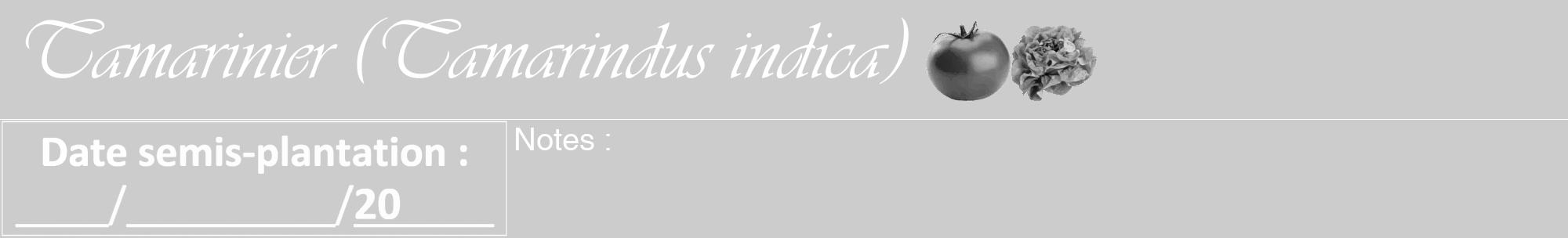 Étiquette de : Tamarindus indica - format a - style blanche0viv avec comestibilité simplifiée