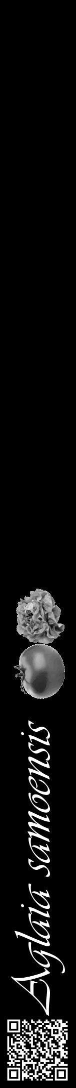 Étiquette de : Aglaia samoensis - format a - style blanche59viv avec qrcode et comestibilité simplifiée - position verticale