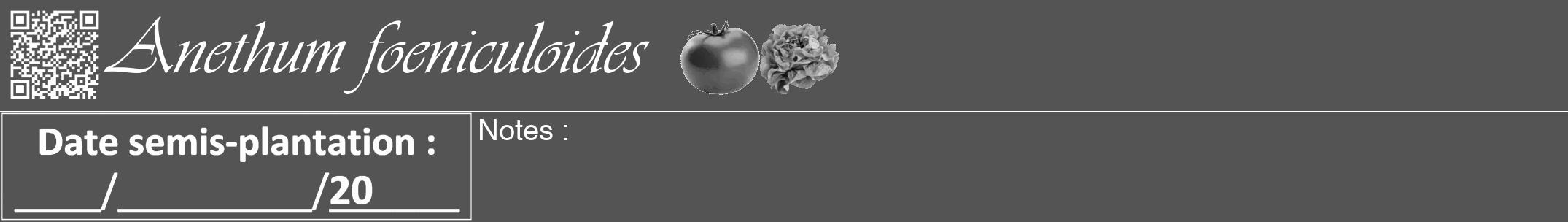 Étiquette de : Anethum foeniculoides - format a - style blanche36viv avec qrcode et comestibilité simplifiée