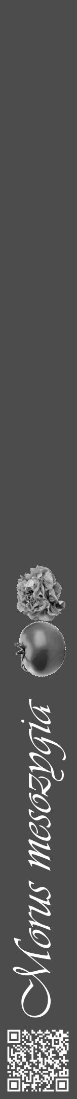 Étiquette de : Morus mesozygia - format a - style blanche27viv avec qrcode et comestibilité simplifiée - position verticale