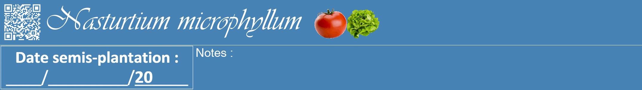 Étiquette de : Nasturtium microphyllum - format a - style blanche5viv avec qrcode et comestibilité simplifiée