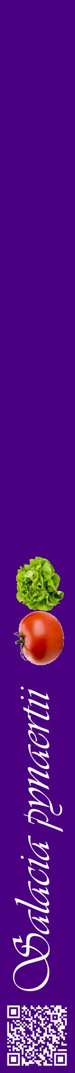 Étiquette de : Salacia pynaertii - format a - style blanche47viv avec qrcode et comestibilité simplifiée