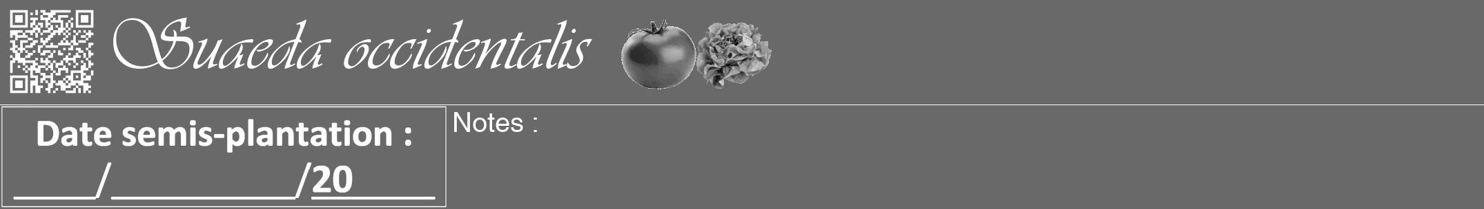 Étiquette de : Suaeda occidentalis - format a - style blanche11viv avec qrcode et comestibilité simplifiée