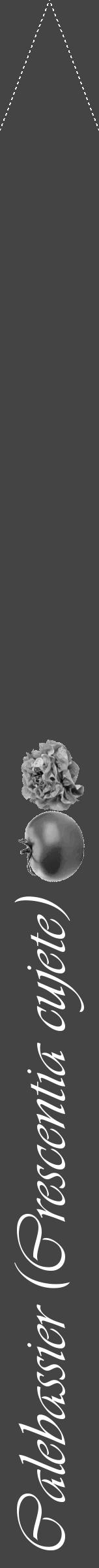 Étiquette de : Crescentia cujete - format b - style blanche48viv avec comestibilité simplifiée - position verticale