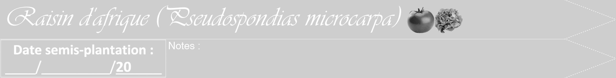 Étiquette de : Pseudospondias microcarpa - format b - style blanche17viv avec comestibilité simplifiée